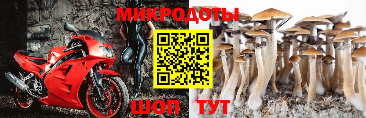 Галлюциногенные грибы ЛСД  даркнет сайт  Иваново  Вход с VPN 