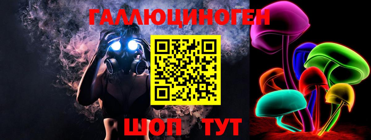 Псилоцибиновые грибы Psilocybe Иваново